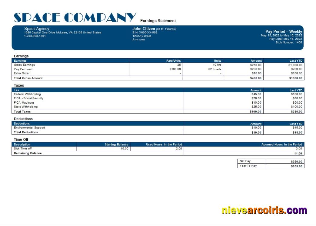 space company editable payslip